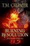 [Stonebrooke 01] • Burning Resolution